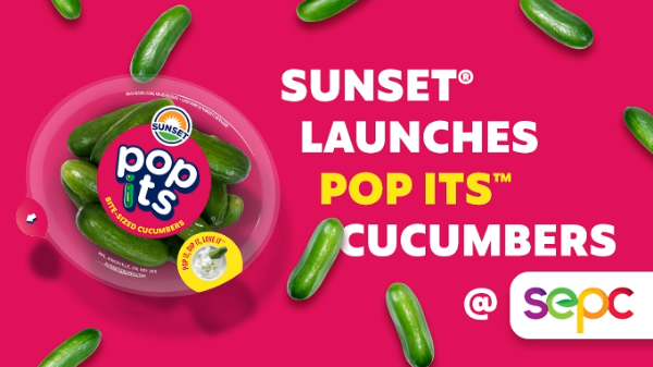 Mastronardi Produce launches Sunset bite-size cucumbers at retail