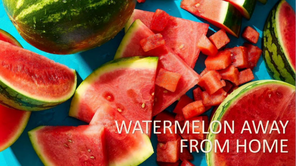 Study shows interest growing for watermelon in foodservice