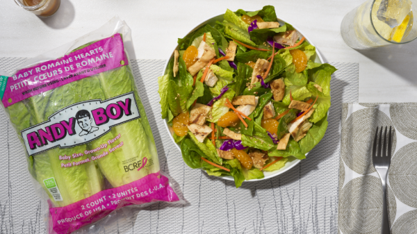 D’Arrigo California launches Andy Boy Baby Romaine Hearts