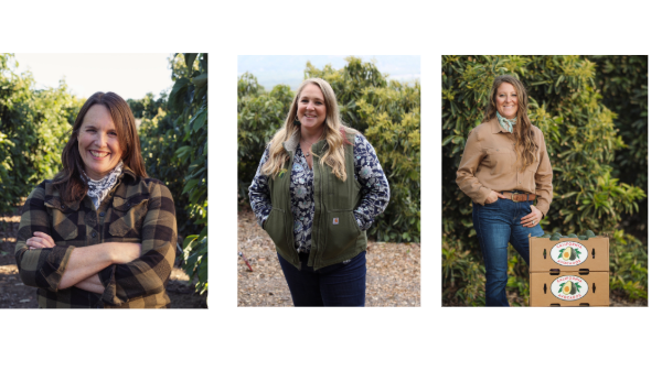 California Avocado Commission honors women growers