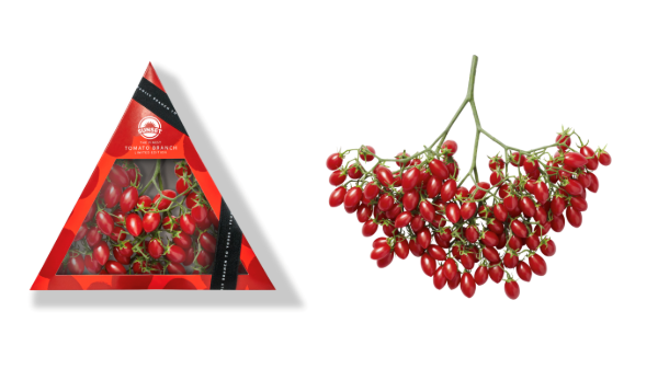 Mastronardi Produce’s Sunset Tomato Branch wins CPMA Packaging Innovation Award