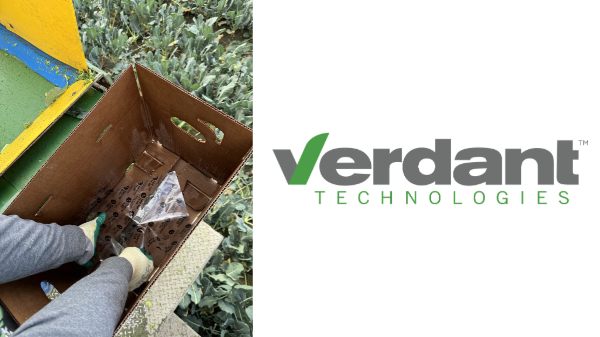 Harps Food Stores partners with Verdant Technologies on iceless broccoli