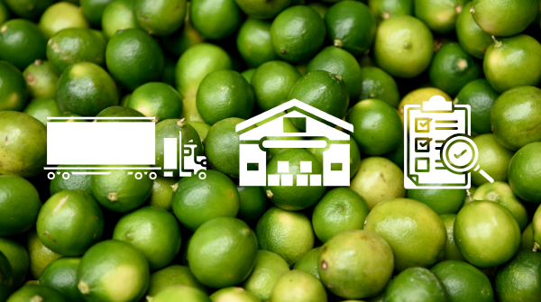 Produce Pointers: Interpreting Inspection Certificates