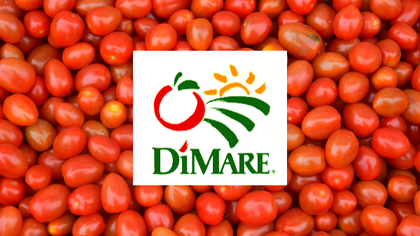 DMB Packing hires Gulf Sierra Marketing for tomato sales