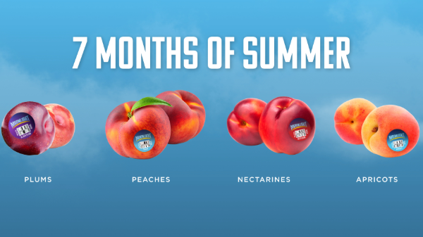 Moonlight’s multi-state strategy delivers ‘7 Months of Summer’