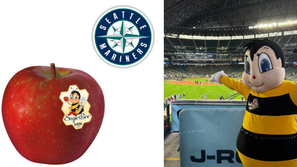 SugarBee apple named official healthy snack of the Seattle Mariners