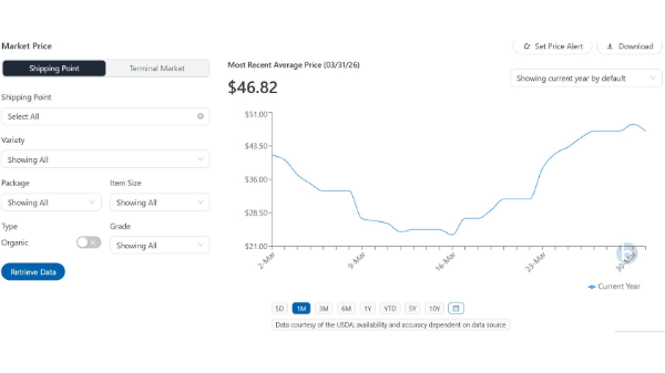 Demand exceeds supply with low tomato volumes
