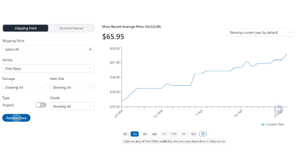 Tomato update: Round availability remains at critically low level