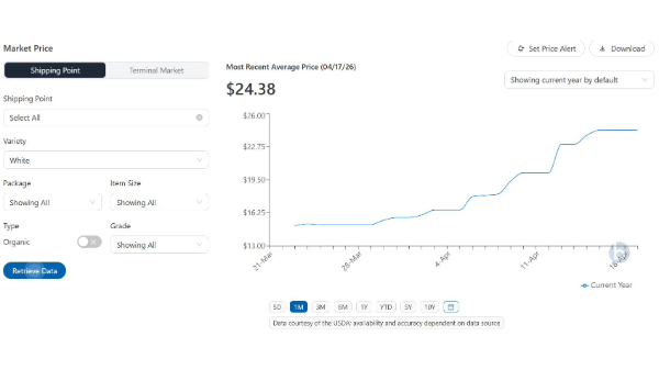 Onion prices rising as storage crop runs low