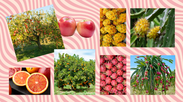 Signature Status: Showing some love to three fruit faves