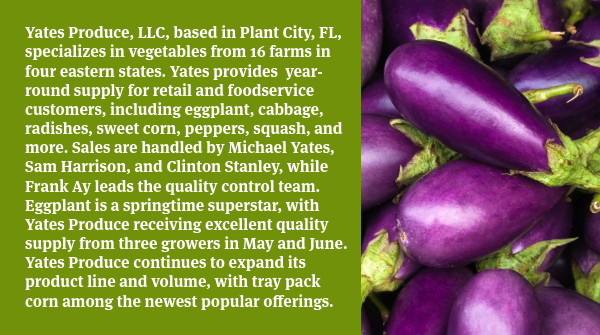 Exclusive! Know Your Commodity: Eggplant