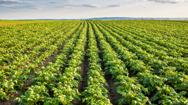 New Jersey: Prepping for seasonal bounty