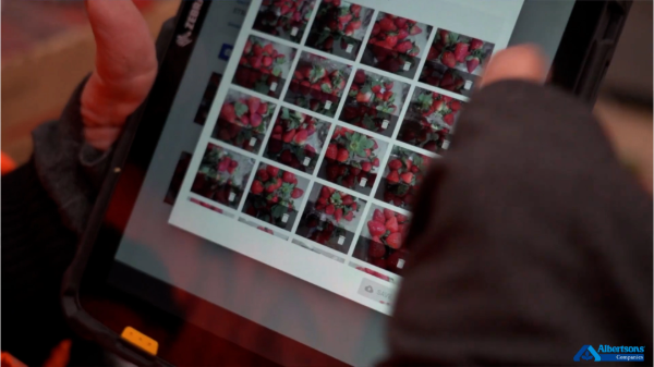 Albertsons launches AI tool to improve fresh produce quality