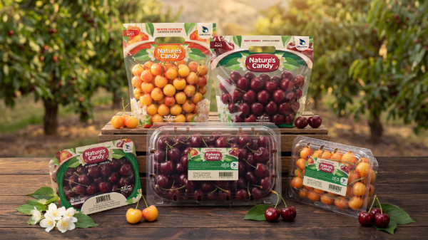 CMI Orchards refreshes its Nature’s Candy cherry brand for 2026 season