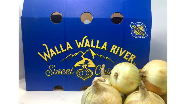 Keystone Fruit Marketing to start Walla Walla Sweet Onion season in June