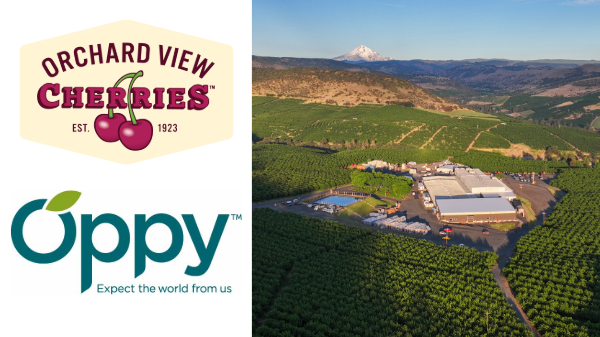 Orchard View cherry season to start in early June