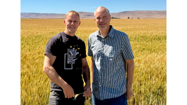 Bridges Produce adds to sales team