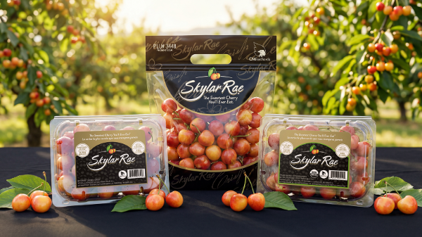 CMI starts Skylar Rae cherry season