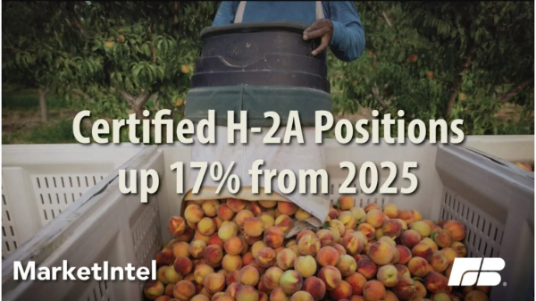 Farm Bureau: H-2A program usage continues to accelerate