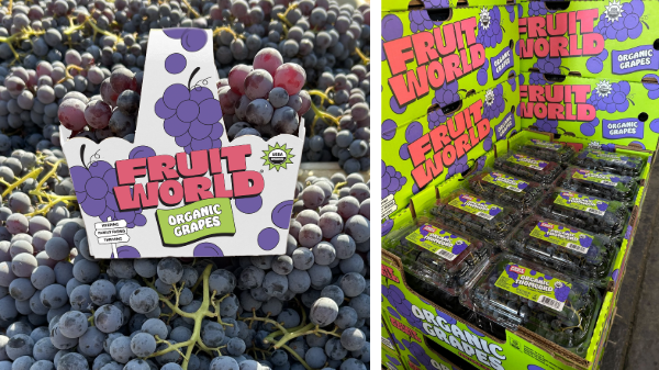 Fruit World starts organic grape season with new packaging