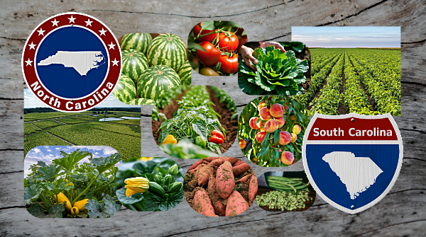 Spotlight on the Carolinas: Demand vs. drought
