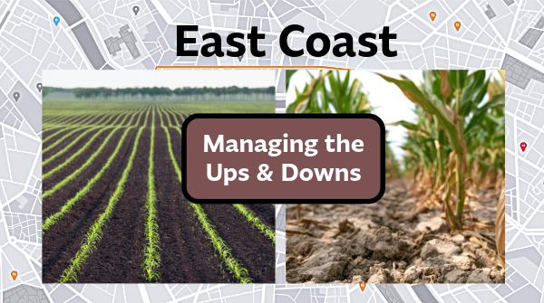 Spotlight on the East Coast: High costs and weather vex suppliers