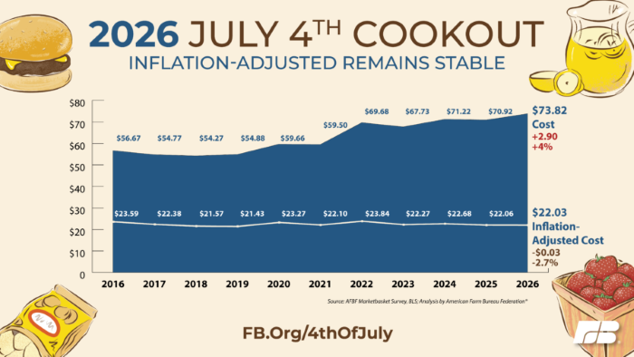 Independence Day cookout costs reflect food inflation