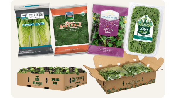 Field Fresh Farms unifies operations for The Salad Farm and Lily’s Organic Farm