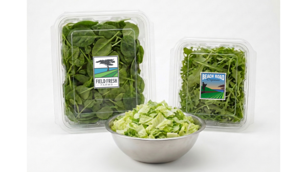 Field Fresh Farms expands foodservice product lineup