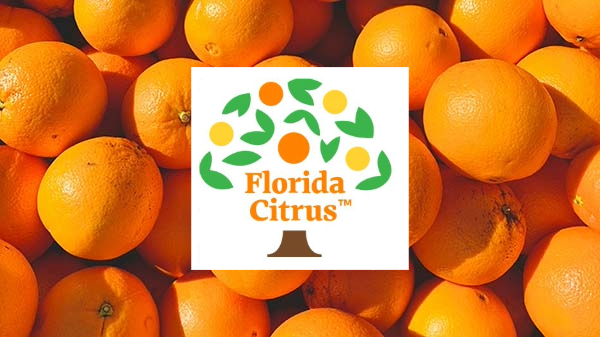 Florida citrus production rises