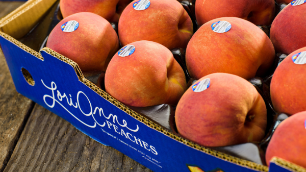 Lori Anne Peaches return to Fresh Thyme Market