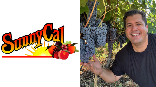 Sunny Cal Farms reports early California grapes but flavor lags behind