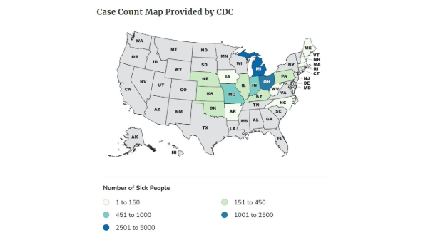 FDA reports all recalled lettuce linked to Cyclospora outbreak is off the market