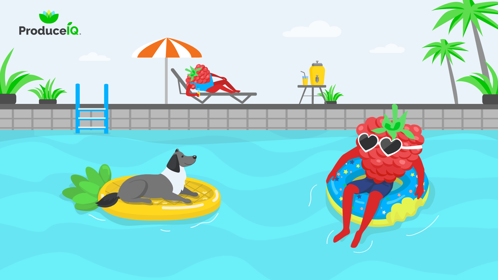 ProduceIQ: Dog days, cooler markets