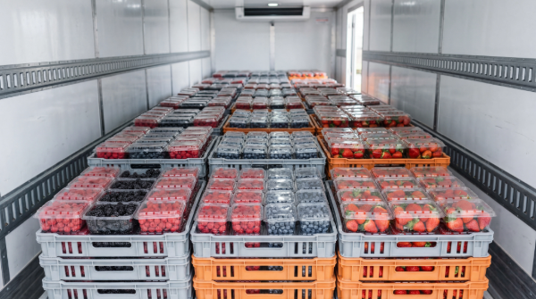 The Cold Chain: Trust only flows in one direction, it shouldn’t