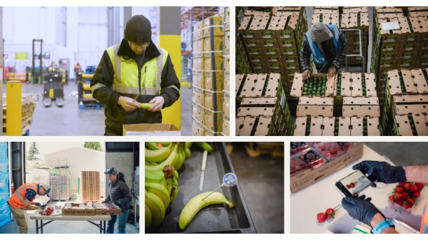 Amazon takes you inside its grocery operation
