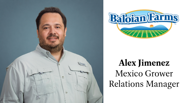 Baloian Farms hires Mexico Grower Relations Manager