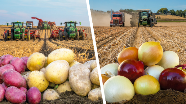 Eagle Eye Produce touts investments as it begins 2026 potato and onion shipments