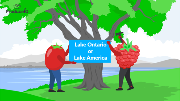 ProduceIQ: Tariffs are back on the menu