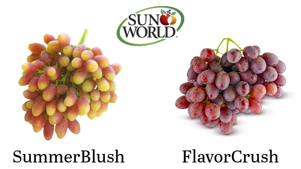 Sun World unveils two grape brands at field day