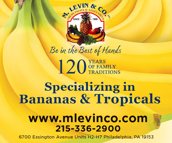 Levin Banner Ad August