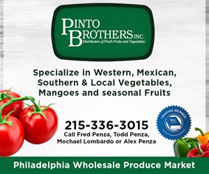 PintoBros - 300x250