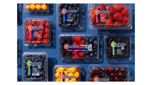Sun Belle unveils dynamic brand refresh