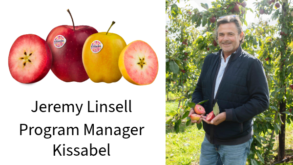 Kissabel apple season starts with new program manager