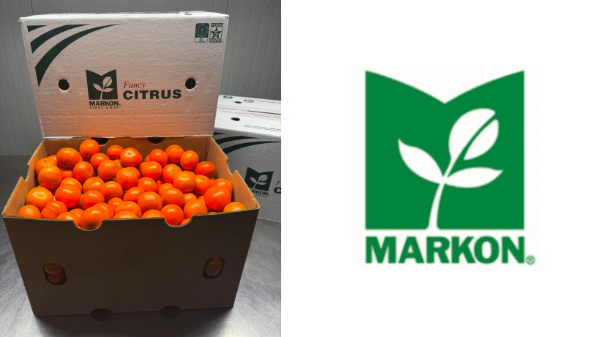 Markon introduces year-round mandarin program