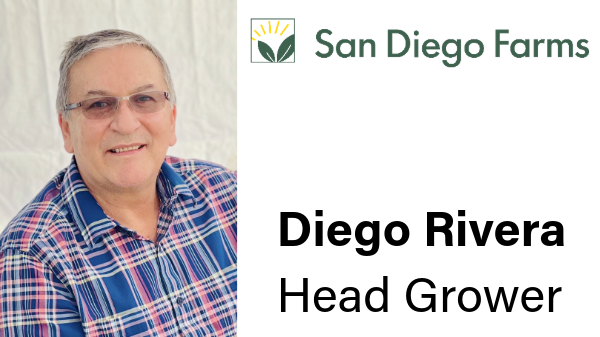 San Diego Farms names head grower