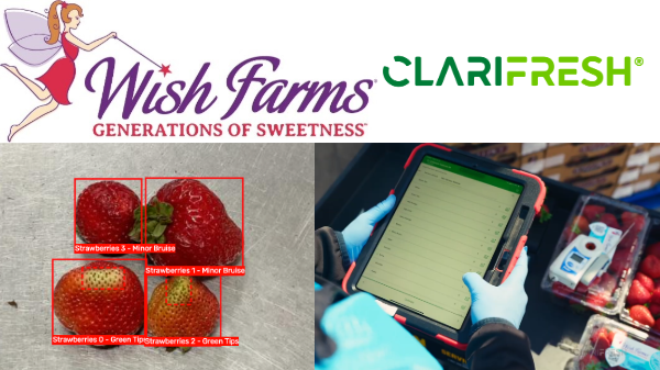 Wish Farms partners with Clarifresh to transform berry quality control with AI