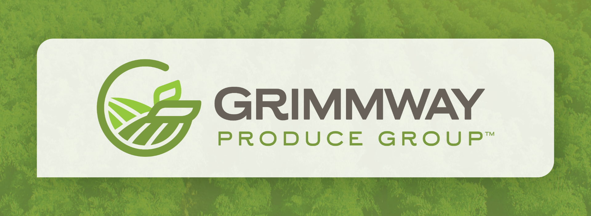 Bimi Broccoli hosts immersive farm-to-table experience