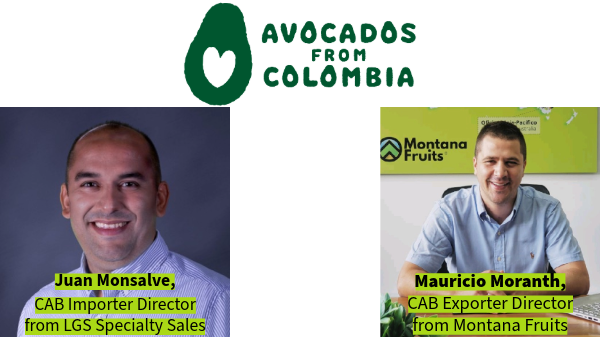 Colombia Avocado Board names 2026-27 board of directors