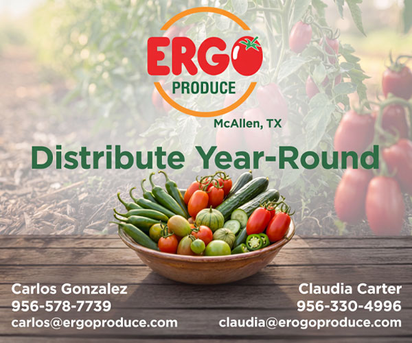 Ergo Banner ad